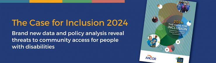 Banner image depicting the cover of the Case for Inclusion 2023