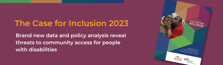 Banner image depicting the cover of the Case for Inclusion 2023